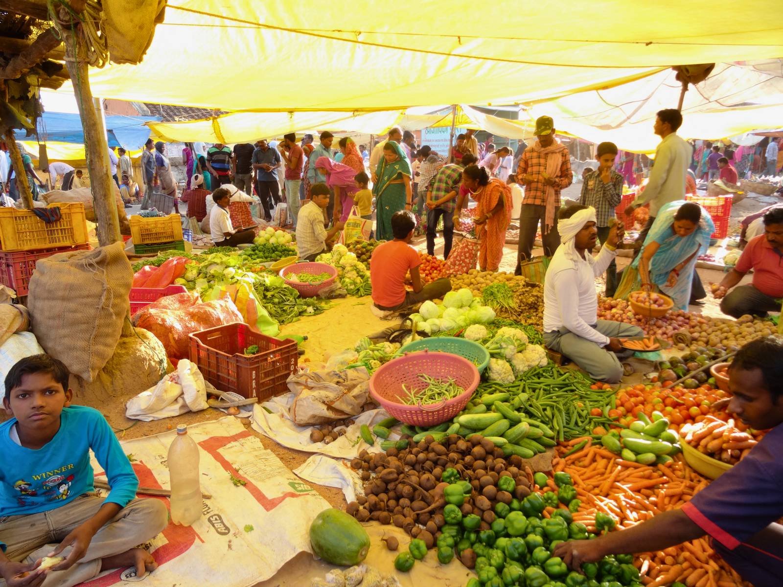 BLOG_ Forest Pauses, Mahua Beckons 2