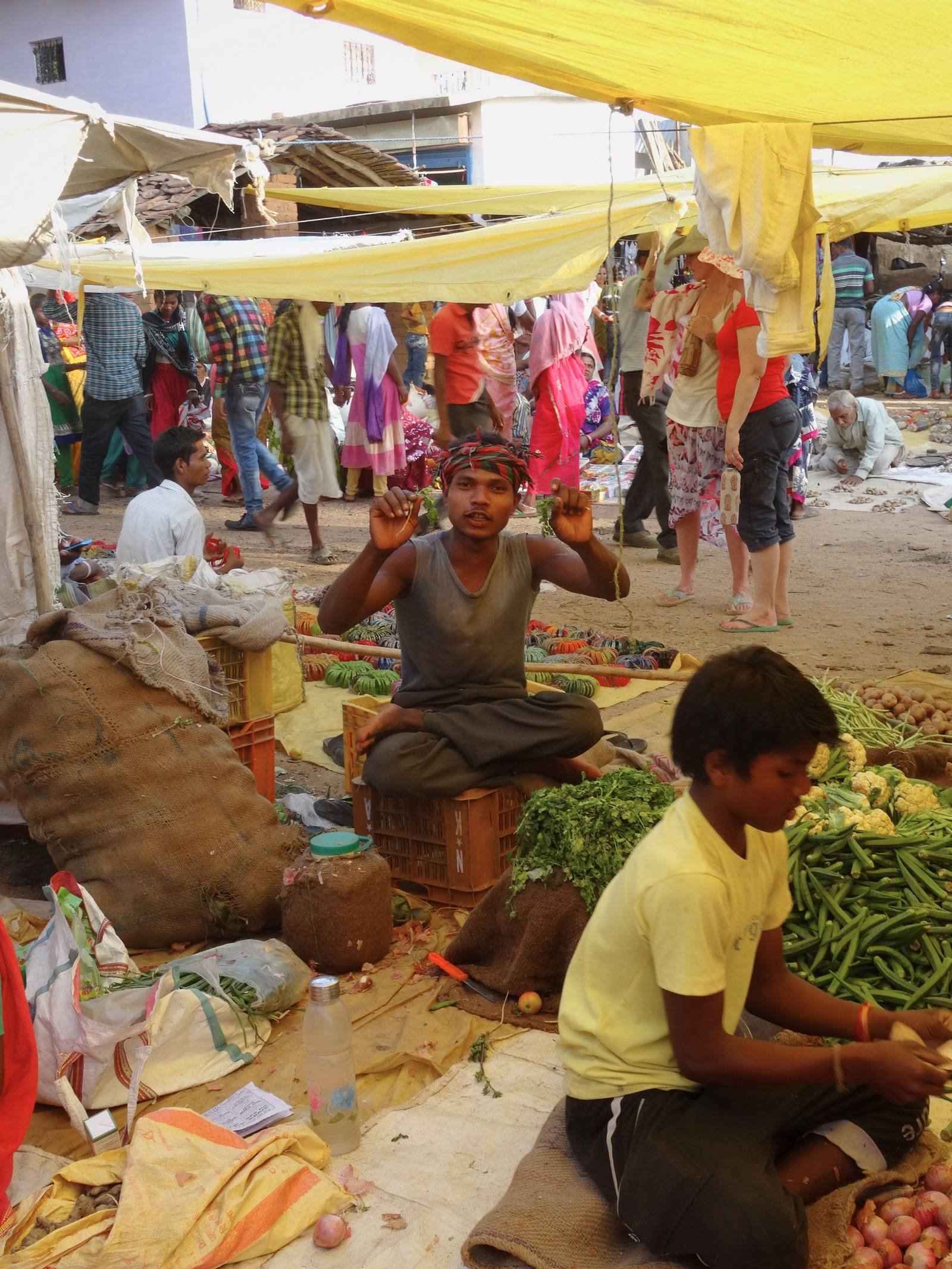 BLOG_ Forest Pauses, Mahua Beckons 4