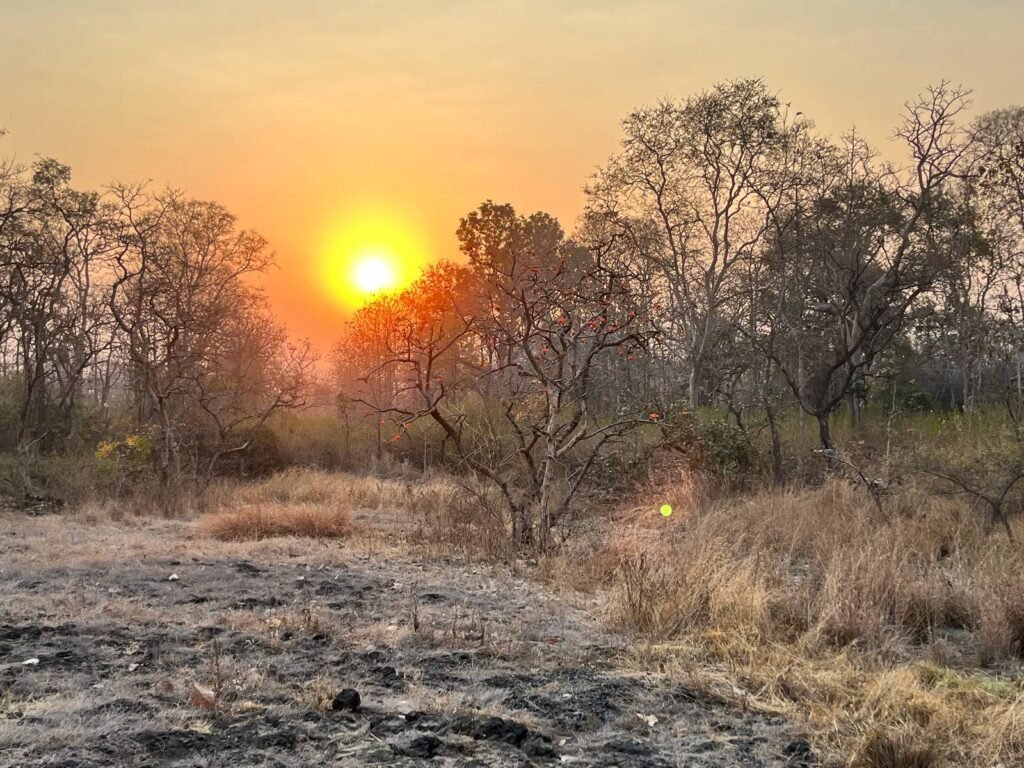 10. Gallery_Shall We On Tour_Tipeshwar Morning Safari