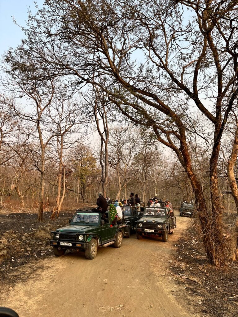 16. Gallery_Shall We On Tour_Tipeshwar Safari