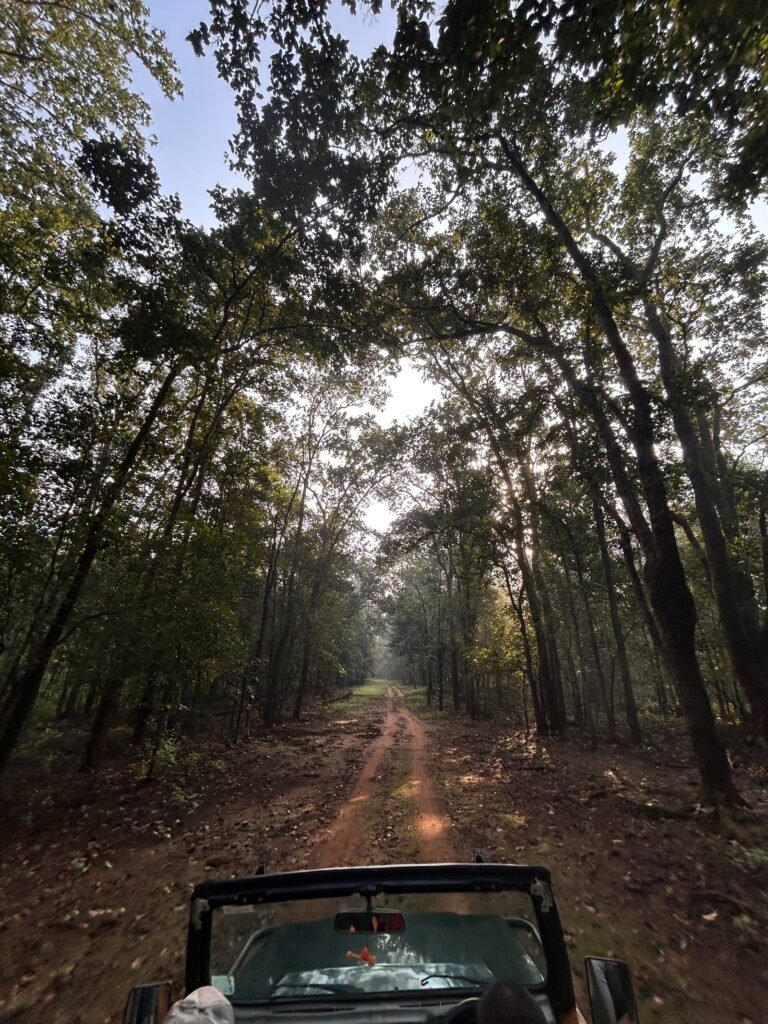 24. Gallery_Shall We On Tour_Kanha