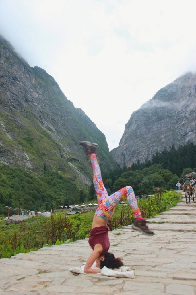 9. Valley Of Flowers Tour