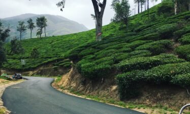 Nature & Flavours Trail